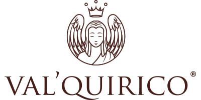 Logotipo Valquirico
